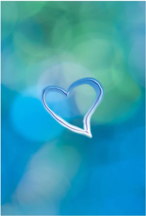 The Central Heart book cover