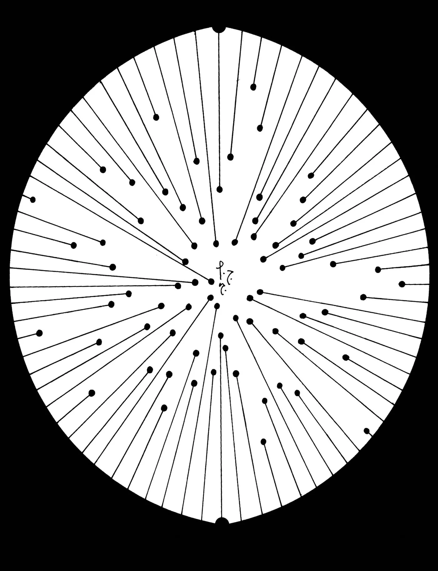 Automatic drawing 44 by Patrice Blouin